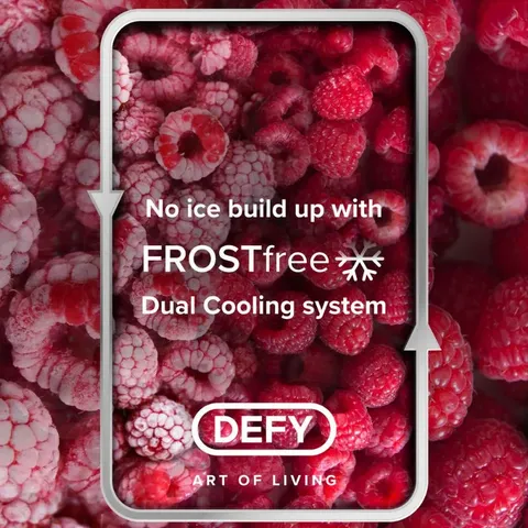 Defy 302L Frost Free Bottom Freezer DAC639 Frost Free